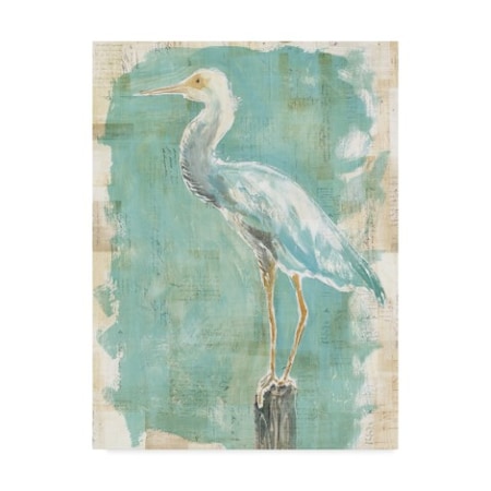Sue Schlabach 'Coastal Egret Ii V2' Canvas Art,14x19